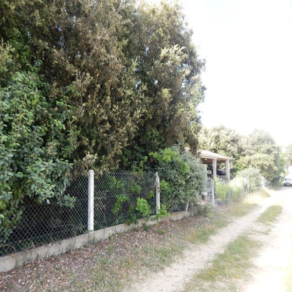 Offres de vente Terrain Saint-Pierre-d'Oléron 17310